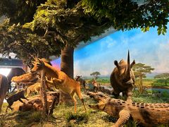 -国家自然博物馆