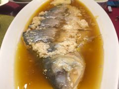 酒香鲥鱼-老吉士酒家(天平路店)