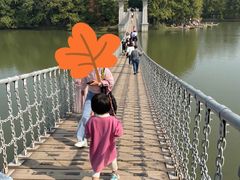 -东湖落雁景区