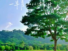 -风云岭森林公园