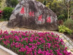 -广州市流溪河国家森林公园
