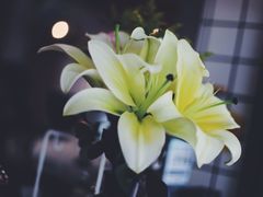 -BE YOLO必有乐&小红帽三明治