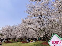 -御池园(顾村公园店)