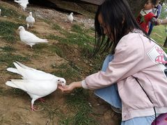 -白鹿原影视城