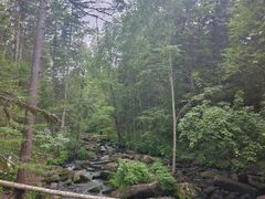 -汤旺河林海奇石景区