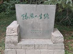 -上海共青森林公园