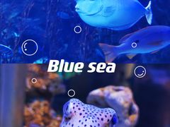 -太平洋海底世界