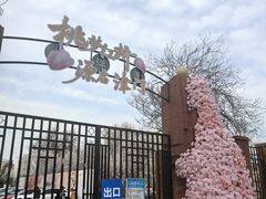 -桃花堤公园