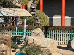 -有喜胶东小馆(太申祥和店)