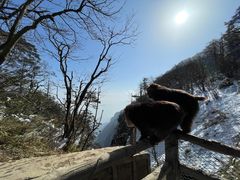 -峨眉山风景名胜区