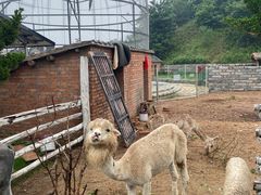 -清风小镇闯关东影视基地