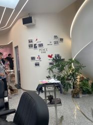 -MINX名珂斯·烫染形象设计