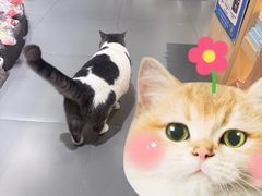 -解忧集市(北京路天河城店)