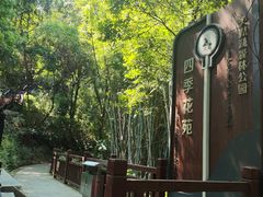 -天鹿湖森林公园
