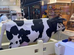 -红星前进面包牛奶公司(君太店)