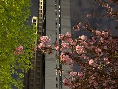 -瑞虹新天地月亮湾