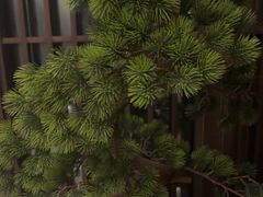 -见康道莱•足浴按摩•艾灸•SPA(友谊店)