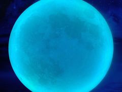 -天津梵高星空艺术馆(天河城旗舰店)