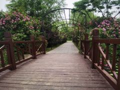 -云龙湖旅游景区