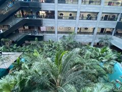 -黑龙江中医药大学附属第一医院