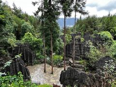 -梭布垭石林景区