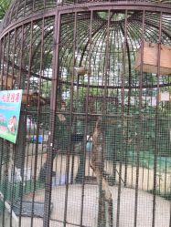 -萌宠亲子动物乐园(槐房万达店)