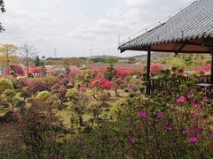 -盈香心动乐园
