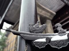 -缙云山景区