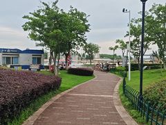 -九龙湖公园