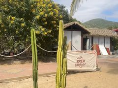 -精酿农场Brew Farm·沙漠绿洲餐厅