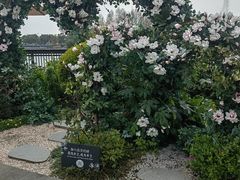 -比斯特上海购物村精品奥特莱斯