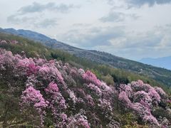 -九皇山景区
