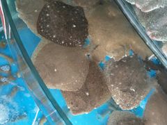 -聚德福海鲜家常菜(刘庄店)