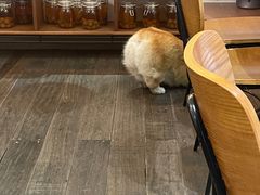 -肥朵食堂(带梦胡同店)