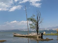 -洱海月湿地公园
