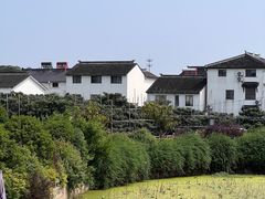 -东山风景区(洞庭东山)