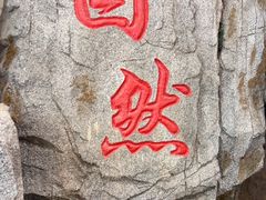 -洪沟崖张记炒鸡店(聚才路店)