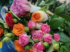 -昆明国际花卉拍卖交易中心