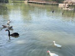 -溱湖国家湿地公园