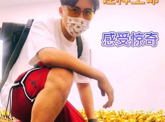 艺术×生命×惊奇×泰康收藏展