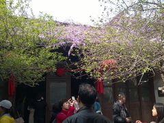 汪氏小苑-汪氏小苑