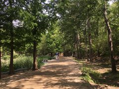 -白水寺森林公园