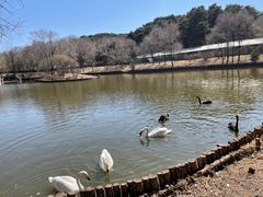 -沈阳森林动物园