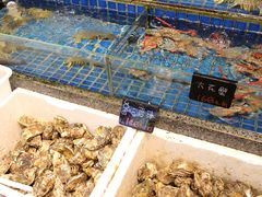 -飞尝蚝·顺德菜·鱼生(顺德总店)