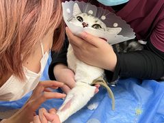 -美联众合动物医院·24h京西诊疗中心