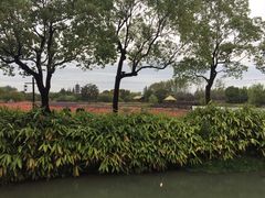 -昭明书院