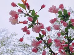 -和平公园
