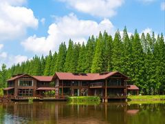 -盐城丹顶鹤湿地生态旅游区