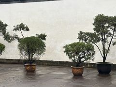 -蔡元培故居