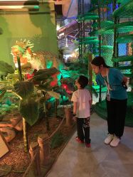 点击看大图 -恐龙探索乐园(磁器口店)